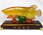 大龍魚